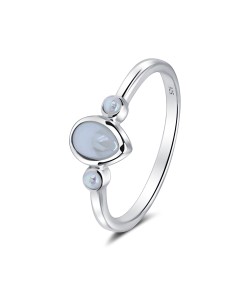Silver Ring NSR-4163